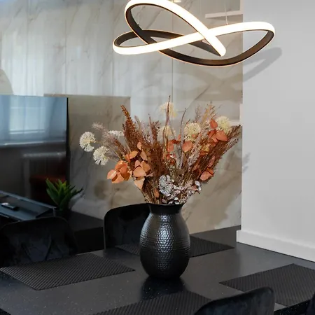 Design Close To Centre Apartment Ostrava