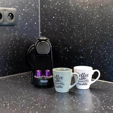 Design Close To Centre Apartment Ostrava