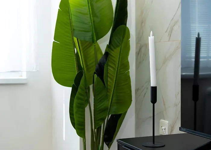 Apartment Design Close To Centre